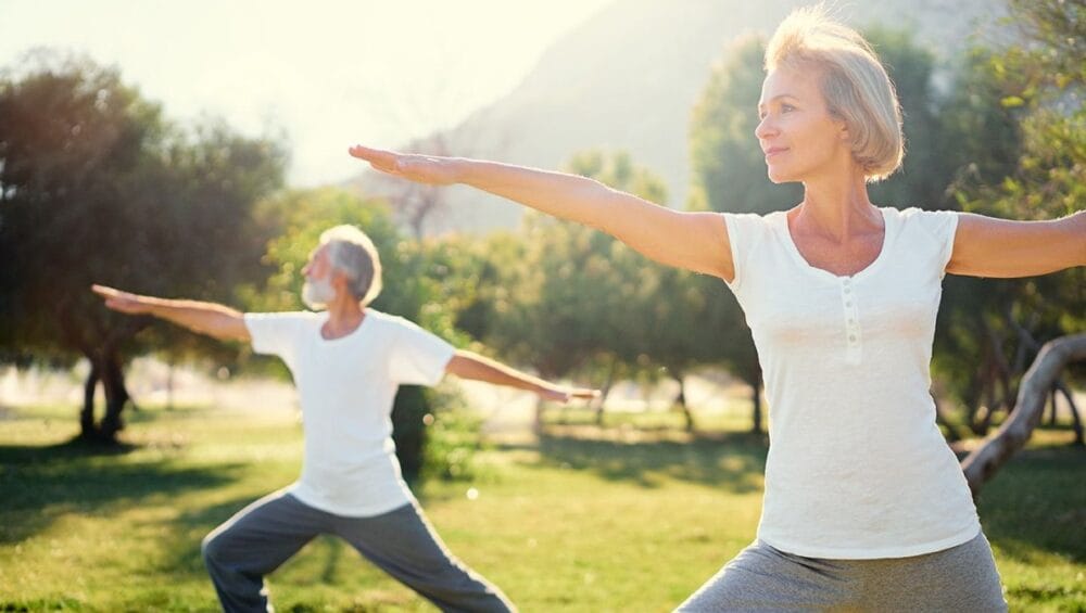 MSM για Αρθρώσεις: Φυσική Αντιμετώπιση Πόνου & Φλεγμονής με ANODYN